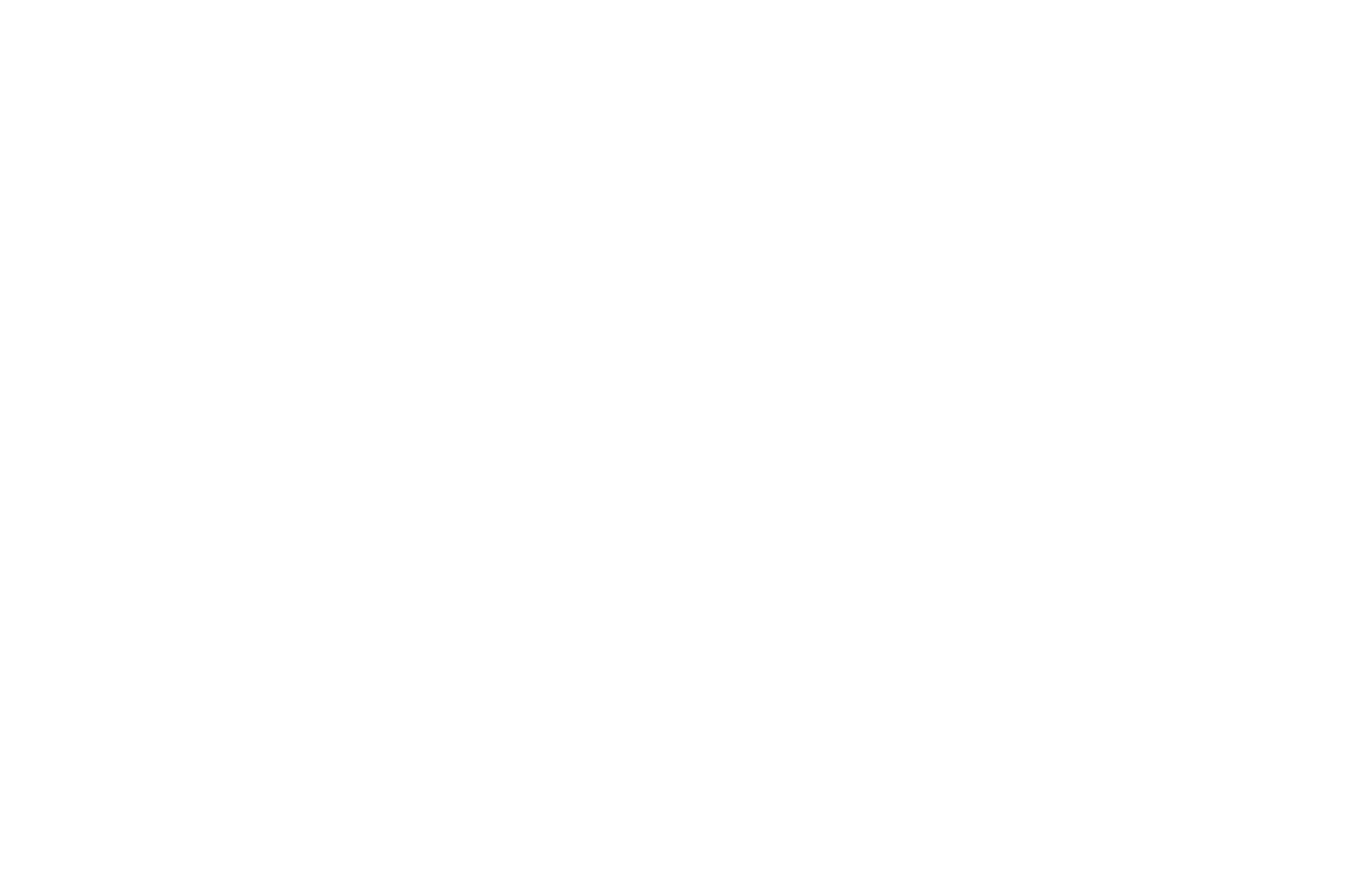 The Flaherty Group